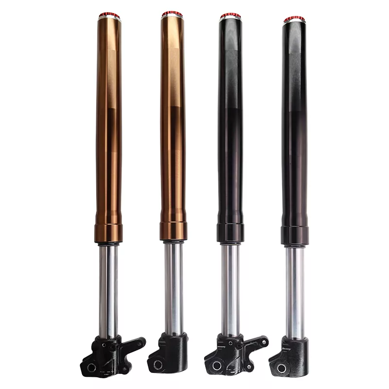 E-Bike Single luwes inverted Fork ngarep