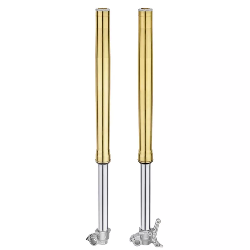 Pit Bike Double Luwes inverted Fork ngarep
